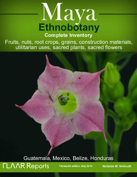nicholas hellmuth|(PDF) Maya Ethnobotany: Complete Inventory.